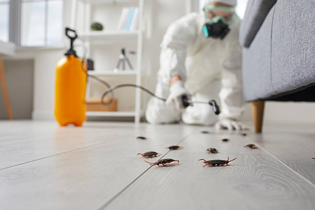Commercial Kitchen Cockroach Control in Camden